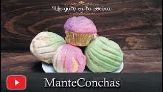 Cómo Hacer ManteConchas  Receta fácil [upl. by Orson]