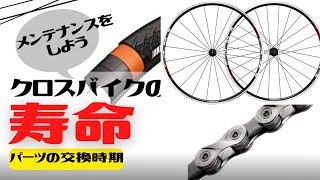 【初心者】クロスバイクの寿命は知っていますか？【メンテナンス】 [upl. by Leontina]