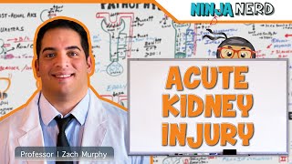 Acute Kidney Injury AKI  Etiology Pathophysiology Clinical Features Diagnosis Treatment [upl. by Aninat]