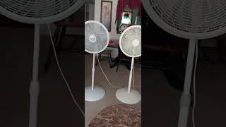 My Two Lasko Cyclone 18quot Oscillating Pedestal Fans [upl. by Blatman350]