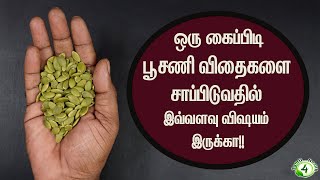 பூசணி விதைக்குள்ள இவ்வளவு விஷயம் இருக்கா ஆண்கள் ஏன் சாப்பிடனும் pumpkin seeds [upl. by Burl]