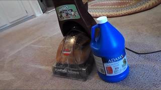 Cleaning my Carpets using Adams Flea and Tick Shampoo [upl. by Yahsed901]