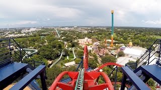 SheiKra Front Row POV Ride at Busch Gardens Tampa Bay on Roller Coaster Day 2016 Dive Coaster [upl. by Nesahc315]