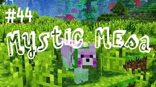 Perturbed Paisley  Mystic Mesa Modded Minecraft Ep44 [upl. by Camilia]