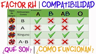 💉Tipos de sangre  Compatibilidad  Factor Rh [upl. by Wyatt]