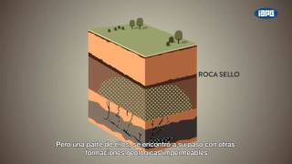 El origen de los hidrocarburos [upl. by Ribble]