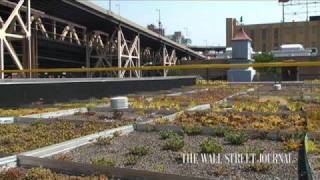 Weighing the Benefits of Green Roofs [upl. by Vail981]