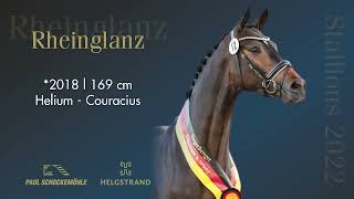 Rheinglanz  Dressage Collection 2022 Schockemöhle amp Helgstrand ENG [upl. by Ashla]