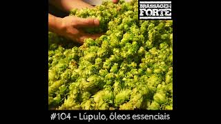 104 – Lúpulo óleos essenciais [upl. by Bonneau]