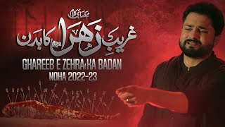 Ghareeb e Zehra Ka Badan  Syed Raza Abbas Zaidi  Nohay 2022  Muharram 2022 1444  New Noha 2022 [upl. by Jannel]