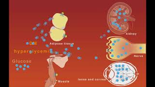 Hyperglycemia and neuropathy nephropathy and retinopathy DM complications [upl. by Rabbi]