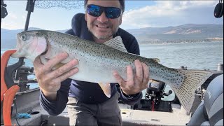 Okanagan Lake Fall Rainbow Trout [upl. by Sully111]