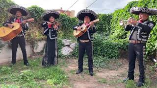 Feliz Cumpleaños con mariachis [upl. by Parke268]