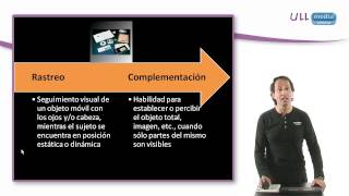 Desarrollo de la percepción visual en niños deficientes visuales [upl. by Lorn852]