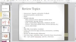 Exam 1 Review [upl. by Eirolam]