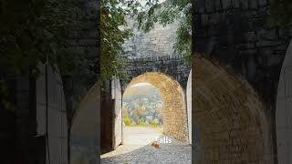 It was in Marienberg Fortress 🍁 shortvideo falls october fallseason beautiful nature travel [upl. by Olim]