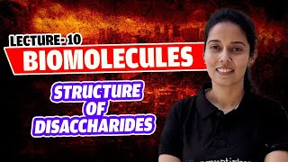 10Oligosaccharides Structure of Disaccharides Carbohydrates Biomolecules NEET lass 11 [upl. by Quince721]