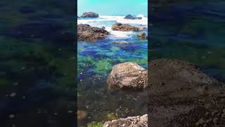 Relaxing Tide Poolsrelaxingsoundsnaturemeditationstressrelieftidepoolssleepmusicoceanshorts [upl. by Batsheva]