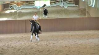 Dina Dressage Sport Horse for Sale [upl. by Yrrek751]