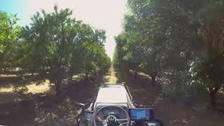 Bluewhites 360° Autonomous Tractor Experience Enhancing Almond Farming Operations Long Form [upl. by Swagerty510]