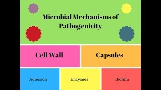 Pathogenic Properties  How to Study Microbiology [upl. by Ahsiuqram]