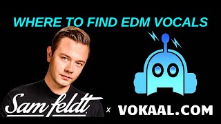 Sam Feldt  Where To Find RoyaltyFree EDM Vocals [upl. by Aicilaf]