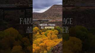 Fall Color Tours at Verde Canyon Railroad [upl. by Lohrman]