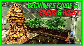 GREENHOUSE CROPS amp HONEY  Beginners Guide  ARK Survival Evolved 2022  The Island S1 E7 [upl. by Fazeli]