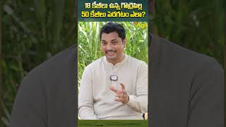 గొర్రెపిల్ల 50 కేజీలు పెరగడం ఎలా SheepFarming GoatFarming ToneAgri SheepBusinessGuide shorts [upl. by Yssej]