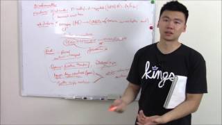 USMLE Neurology 3 Neuroanatomy Nerves Neurotransmitters and Cutaneous Receptors [upl. by Haldane]