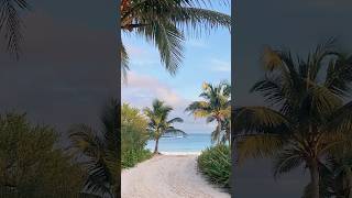 Unico Riviera Maya Resort Tour Part 23 All Inclusive Weddings [upl. by Anyal]