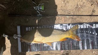 Carp Fishing in Central West NSW  Cleaning out the rivers [upl. by Ainsworth]