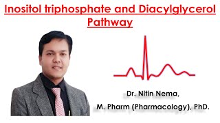 Inositol triphosphate and Diacylglycerol Pathway by Dr Nitin Nema [upl. by Ohcirej]