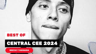 CENTRAL CEE 2024 MIX  TOP SONGS 2024 [upl. by Neik]