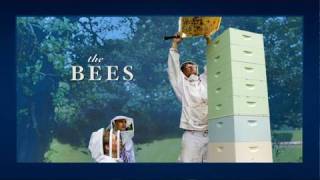 Inside The White House  Bees [upl. by Trevor]