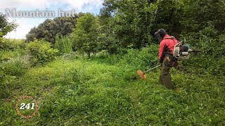 【 Mountain Hut 】 Grass cutting shindaiwa JPNRK3026PT254cc Chapter241 [upl. by Bonnibelle]