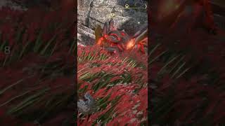 Horizon Forbidden West  Random DoT Damage [upl. by Nnaeus]