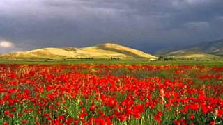 Armenian folk song  Bingyol [upl. by Kellby]