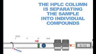 How HPLC Columns Work [upl. by Cartie]