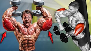 Build Huge Triceps Fastest using Dumbbell Only [upl. by Naasar229]