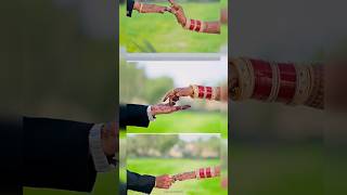 New Marwadi Love Song  Marwadi Marriage Song  marwadi shorts trending shortsfeed wedding [upl. by Strang295]