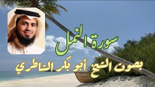 سورة النمل بصوت الشيخ أبو بكر الشاطري ahmadamer23 [upl. by Germayne]