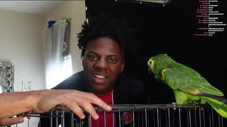 IShowSpeeds Parrot says N WORD [upl. by Alrats]