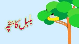 Bulbul ka Bacha Urdu Poem  بلبل کا بچّہ اردو نظم [upl. by Cannell]