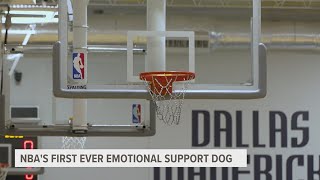 Dallas Mavericks Basketball team finds new way to relieve mental health stress through therapeutic d [upl. by Lerim282]