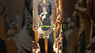 Unveiling the Sacred Bond Dogs in Ancient Egyptian Life and Mythology history [upl. by Westberg855]