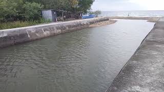 Taculing bridge Larena Siquijor 31102024 [upl. by Nylacaj821]