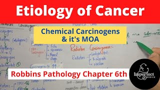 ETIOLOGY OF CANCERChemical CarcinogensMechanisms of Action of Chemical Carcinogens [upl. by Ahseid4]