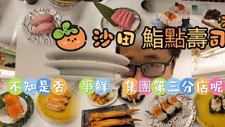 【走天涯JK】食 沙田鮨點壽司，平價壽司店，應是爭鮮集團分店，最爭鲜 點 之外，第三分店，壽司都算平價，還有炸物 [upl. by Asilrak]