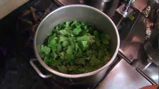 How to Make Loveless Cafes Turnip Greens [upl. by Demah]